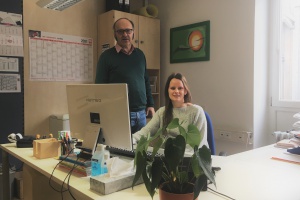 Privatinsolvenz - so geht es voran