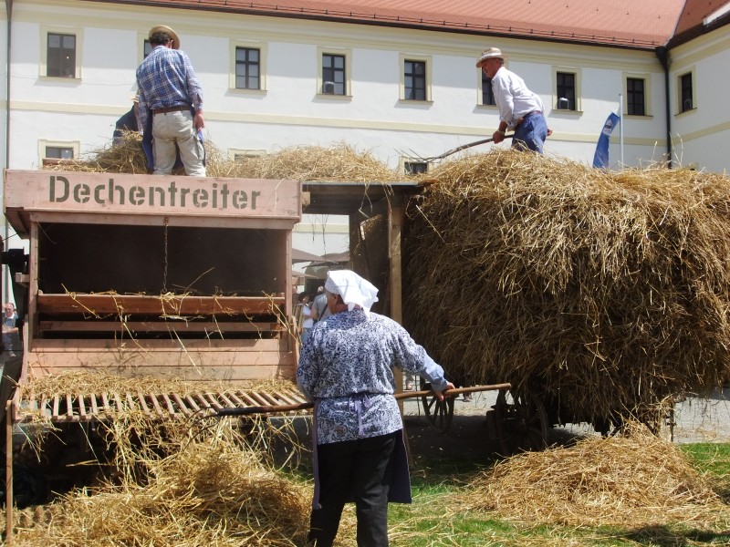 Flyer/Grafik zum Event: Dreschen wie früher bei uns dohoam am So., 25.08.2024 ab 11:00 Uhr
