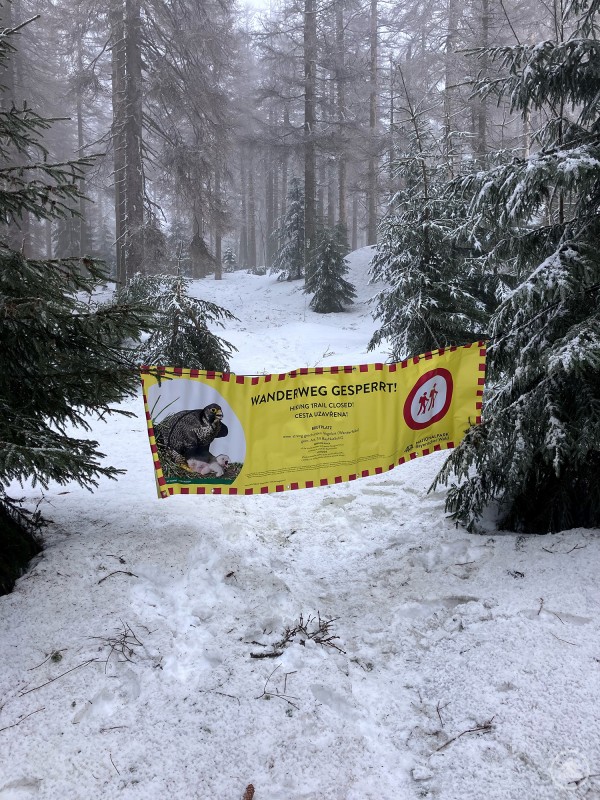 Banner weisen Besucher auf die Sperrung des Wanderweges durch das Höllbachgespreng hin NPVBW-~1.JPG