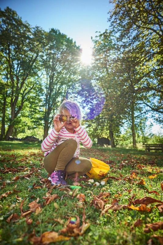 Flyer/Grafik zum Event: Frühlings-Schatzsuche am Sa., 08.03.2025 - Fr., 30.05.2025