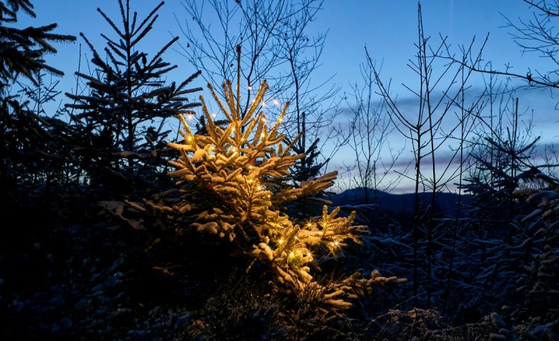 Flyer/Grafik zum Event: Christbaumaufstellen Klingenbrunn am Fr., 28.11.2025 von 17:00 bis 22:00 Uhr