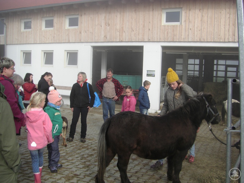 Viel Spannendes und Entspannendes war beim Ausflug auf dem Erlebnisbauernhof Zeintl für die Tagesmütter geboten.
