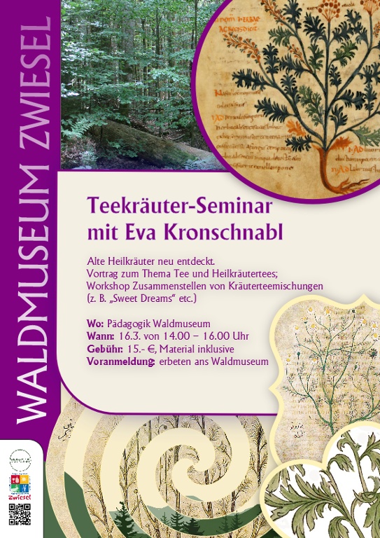 Flyer/Grafik zum Event: Teekräuter-Seminar mit Eva Kronschnabl am Sa., 16.03.2024 von 14:00 bis 16:00 Uhr