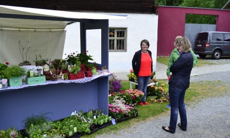 Volles Programm am Pfingstwochenende im Freilichtmuseum