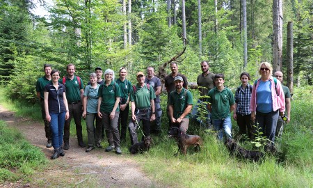 Einblicke in den Wald von morgen