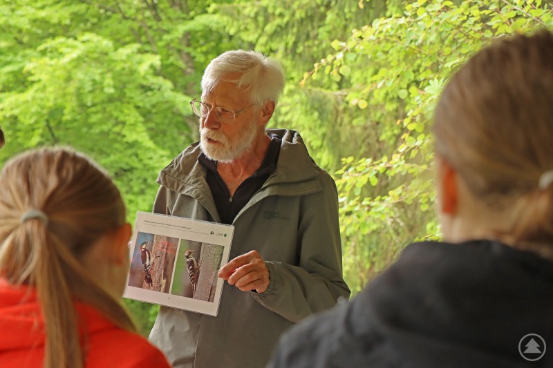 Warum der Weißrückenspecht im Gegensatz zum Buntspecht alte, wilde Wälder braucht, erklärte Waldführer Josef Resch den Sechstklässlern der Realschule Regen. Ein älterer Mann mit grauem Haar und Bart erklärt im Wald einer kleinen Gruppe Jugendlicher anhand eines Ausdrucks mit zwei Spechtbildern den Unterschied zwischen Weißrücken- und Buntspecht. Die Szene spielt vor frischem Frühlingsgrün.