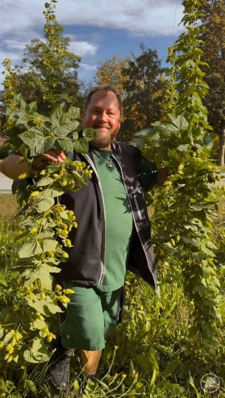 Ein lachender Mann präsentiert große Hopfenranken im Freien.