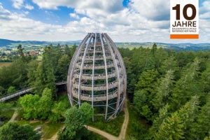 10 Jahre Baumwipfelpfad im Nationalpark Bayerischer Wald