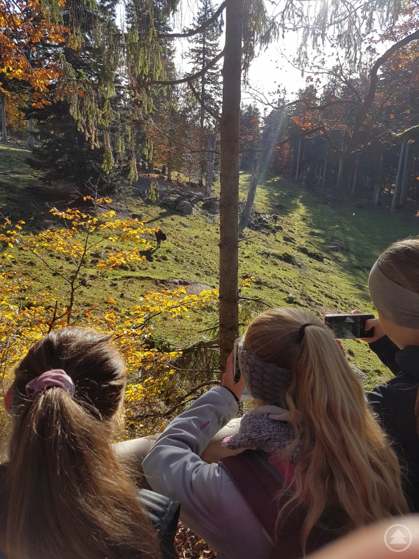 Auf der Jagd nach dem schönsten Foto.