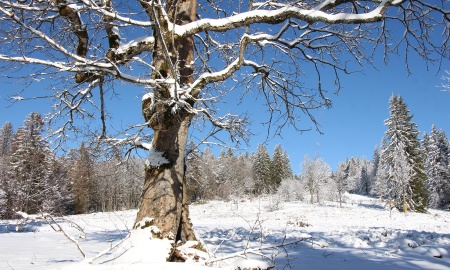 Mit Schneeschuhen zur Lindberger Schachtenhütte