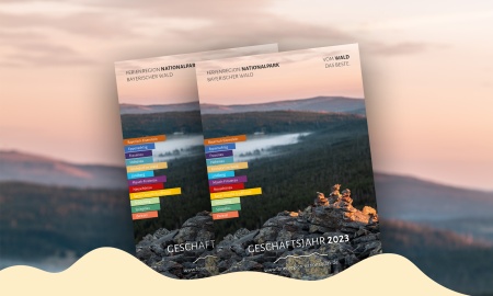 Mehr Gäste in der Ferienregion Nationalpark Bayerischer Wald