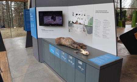 Nationalpark Bayerischer Wald startet mit neuer Ausstellung in die Wintersaison