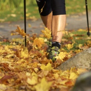 Nordic Walking & Joggen in Grafenau