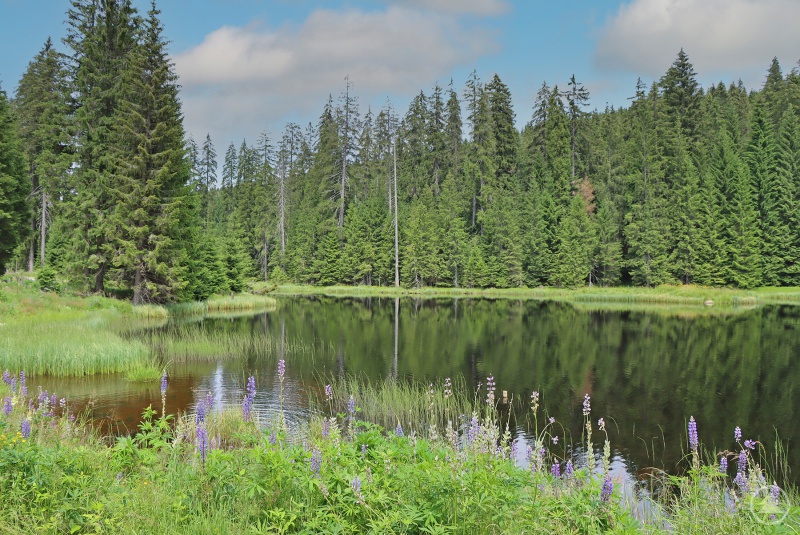 Die Hammerklause gehört künftig zum Nationalpark. Besucher können dorthin nicht nur wandern, auch ein Radweg führt an den See.