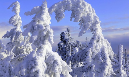 Winter und Frühlingsfeeling