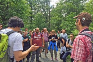 Totholz-Forscher begeistert vom Nationalpark