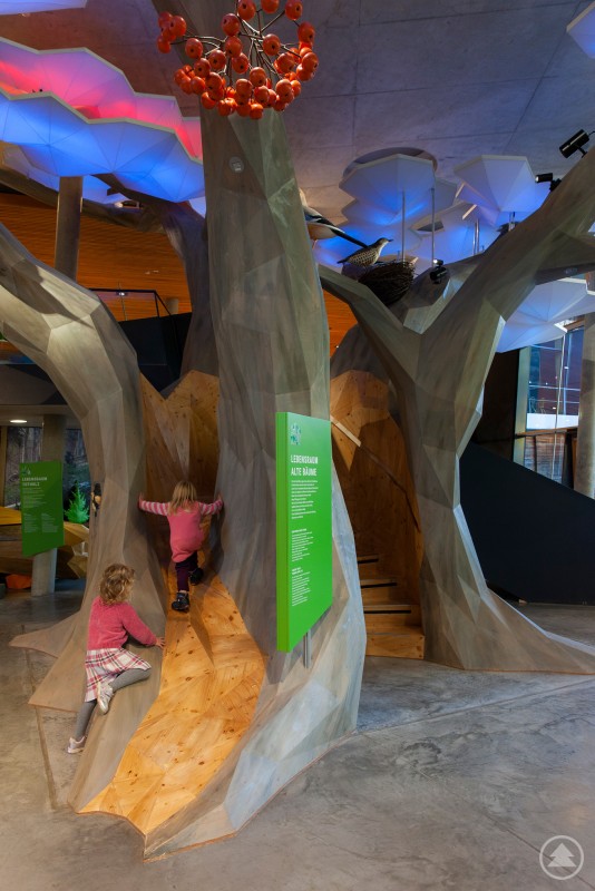 Geöffnet ist ab 26. Dezember unter anderen auch wieder das Haus zur Wildnis