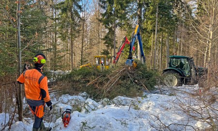 Fl&auml;che f&uuml;r neue Kauz-Volieren im Nationalparkzentrum Lusen wird vorbereitet