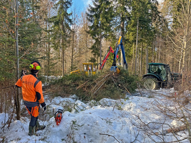 Dort, wo aktuell Bewuchs entfernt wird, sollen ab Spätsommer drei neue Volieren für Eulen und Käuze entstehen. Ein Mitarbeiter des Nationalparks Bayerischer Wald steht in Schutzkleidung mit Motorsäge im verschneiten Wald. Im Hintergrund arbeiten mehrere Forstmaschinen und Fahrzeuge daran, Bäume und Gehölz zu entfernen, um eine Fläche im Tier-Freigelände vorzubereiten.