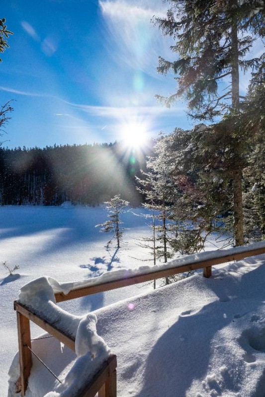 Flyer/Grafik zum Event: Schneeschuhtour "Bayerisch Kanada" am So., 08.03.2026 von 10:00 bis 14:00 Uhr