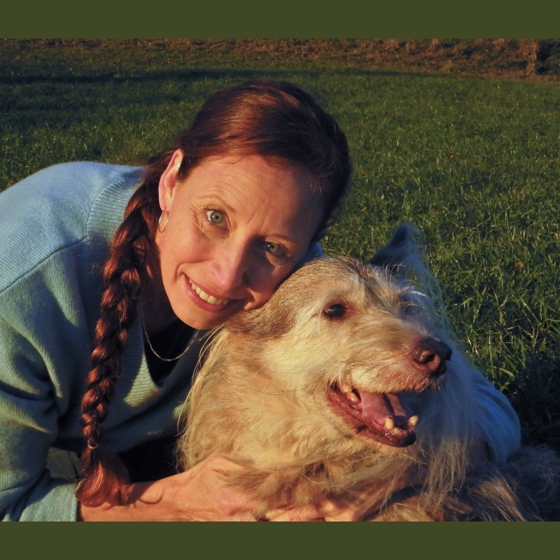 Mobile Tierarztpraxis Schönberg