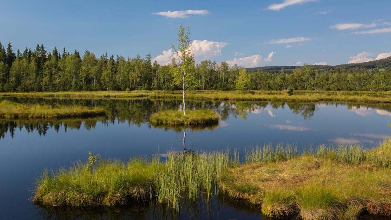 Flyer/Grafik zum Event: Grenzüberschreitende Wanderung in die Wildnis am So., 04.05.2025 - So., 20.07.2025