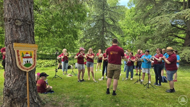 Die Hofmarkkapelle spielt unter Bäumen im Park auf der Insel Mainau ein Standkonzert, Musiker tragen rote T-Shirts..jpg