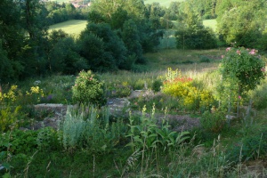 Ellen Huber: Heilpflanzenschule Millefolia