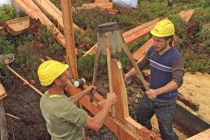 Wer will Moor-Retter werden?