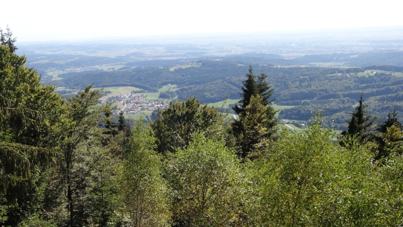 Flyer/Grafik zum Event: Wanderung - Geschichten zum Sanatorium Hausstein am So., 16.04.2023 von 14:00 bis 17:00 Uhr