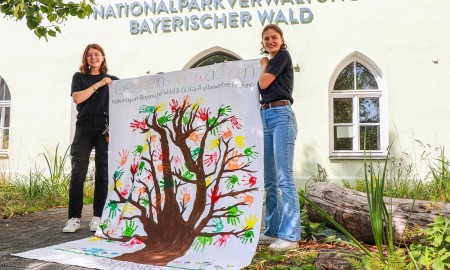 Farbenfrohes Symbol für „gemeinsam wachsen“