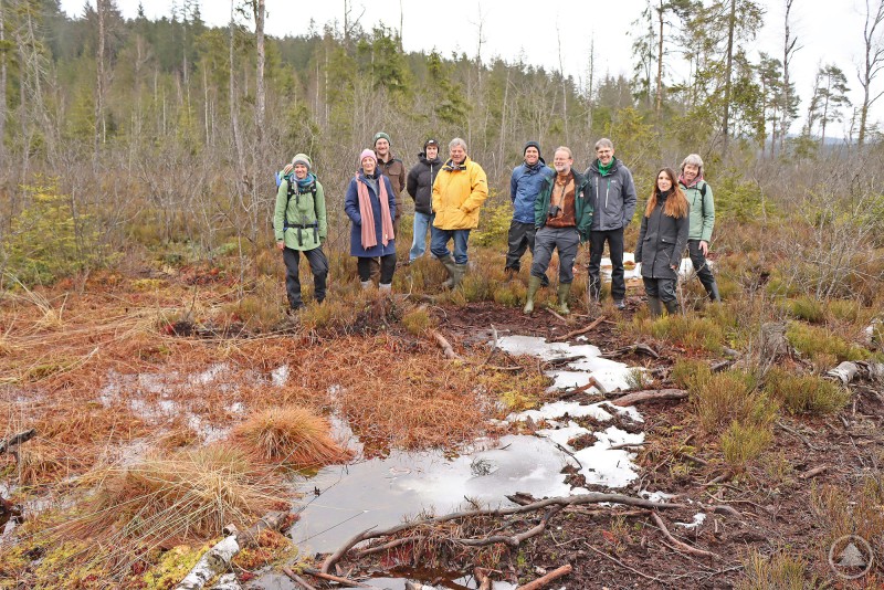 Bei der Evaluierung wurde unter anderem das Moor Kleine Au unter die Lupe genommen. NPV BW - PM 20-25 EU wirft Blick auf Naturschutzprojekt.jpg