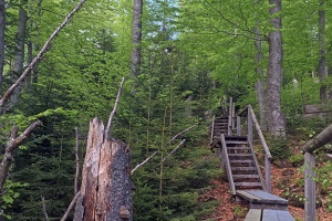 Seelensteig wegen Baumaßnahmen gesperrt