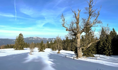 Klima und Natur im Winter