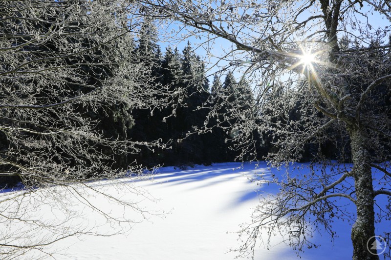 An der Kreuzbachklause am Fuße des Dreisessel 0K4A1031_01.jpg