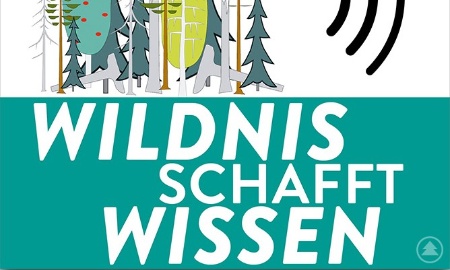 Wildnis schafft Wissen: Nationalpark Podcast startet mit neuer Staffel