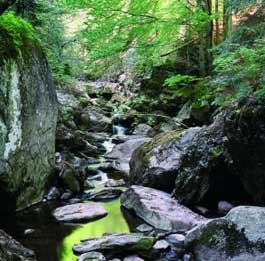 Flyer/Grafik zum Event: Wanderung am Di., 08.09.2015 von 13:00 bis 16:00 Uhr