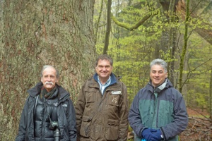 Hotspot des Waldnaturschutzes