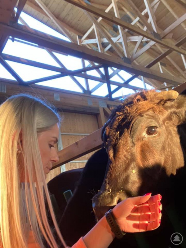 Die Rinder von Familie Götz sind ganz zutraulich, wie Maria Götz zeigt.