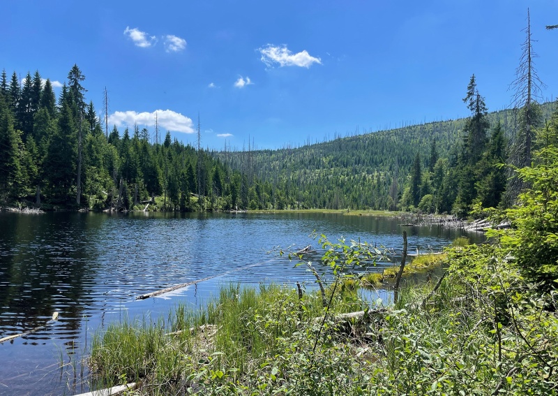 Die Wanderung am 14. Juli führt auch am Lakasee vorbei.