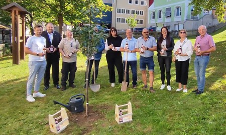 CSU Freyung beteiligt sich an Baumpflanz-Challenge