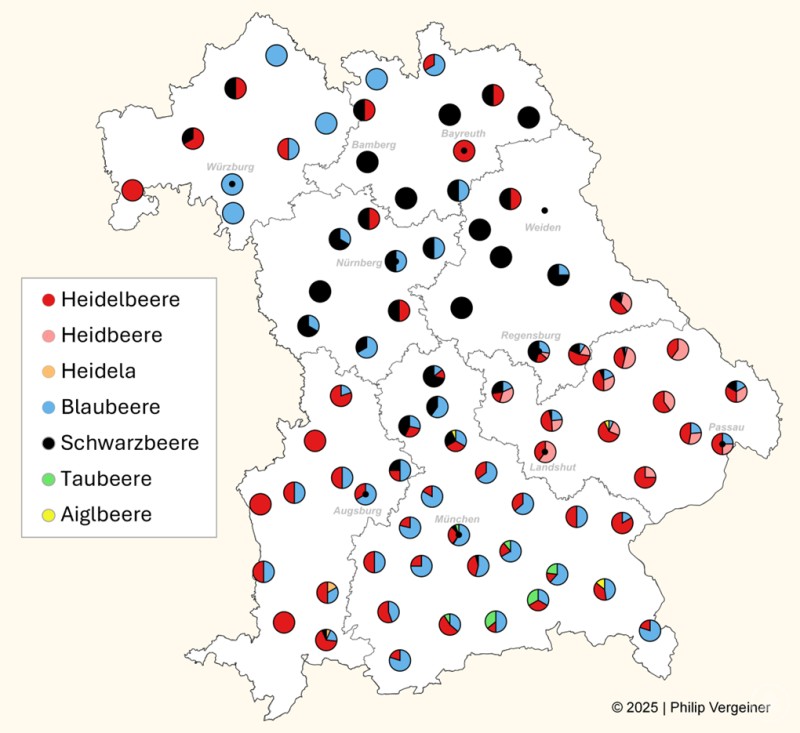 Das zweite Bild stellt eine Karte von Bayern dar, auf der die unterschiedlichen Dialektwörter für Heidelbeeren verzeichnet sind. Die farbigen Kreise verdeutlichen, welche Begriffe in den einzelnen Regionen vorherrschen, darunter Varianten wie Heidelbeere, Heidbeere, Heidela, Blaubeere, Schwarzbeere, Taubeere und Aiglbeere.