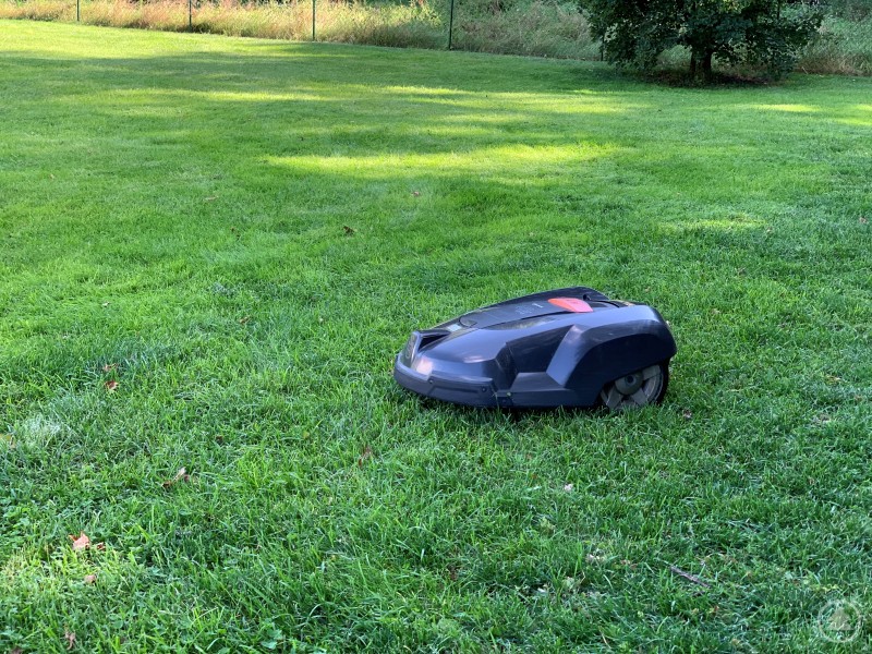 Mähroboter können für Igel zur tödlichen Gefahr werden, besonders wenn sie nachts im Einsatz sind. Ein Mähroboter fährt selbstständig über einen gepflegten Rasen in einem Garten.