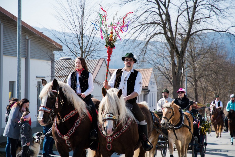 Flyer/Grafik zum Event: Palmritt Schönberg am So., 25.03.2018