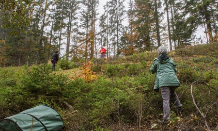 Bärlappe bekommen menschliche Unterstützung
