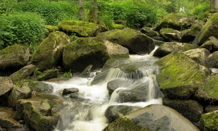 In der Saußbachklamm