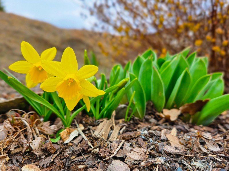 Flyer/Grafik zum Event: Familien-Frühjahrswanderung am So., 12.04.2026 von 13:00 bis 15:00 Uhr