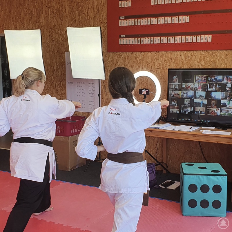Zoom-Karate-Training