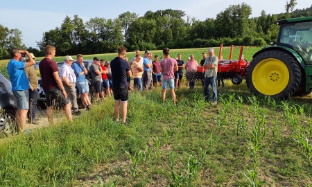 Pflanzenschutzmittelreduktion: Ist weniger mehr?
