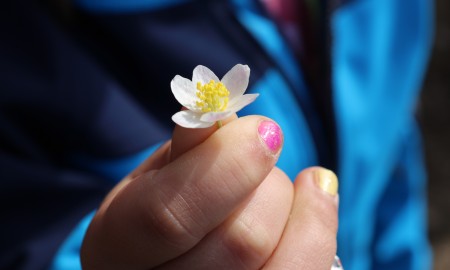 Buntes Osterferienprogramm im Nationalpark